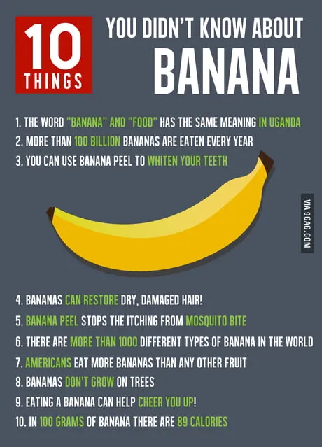 9gag brand asset featured on 9gag.com