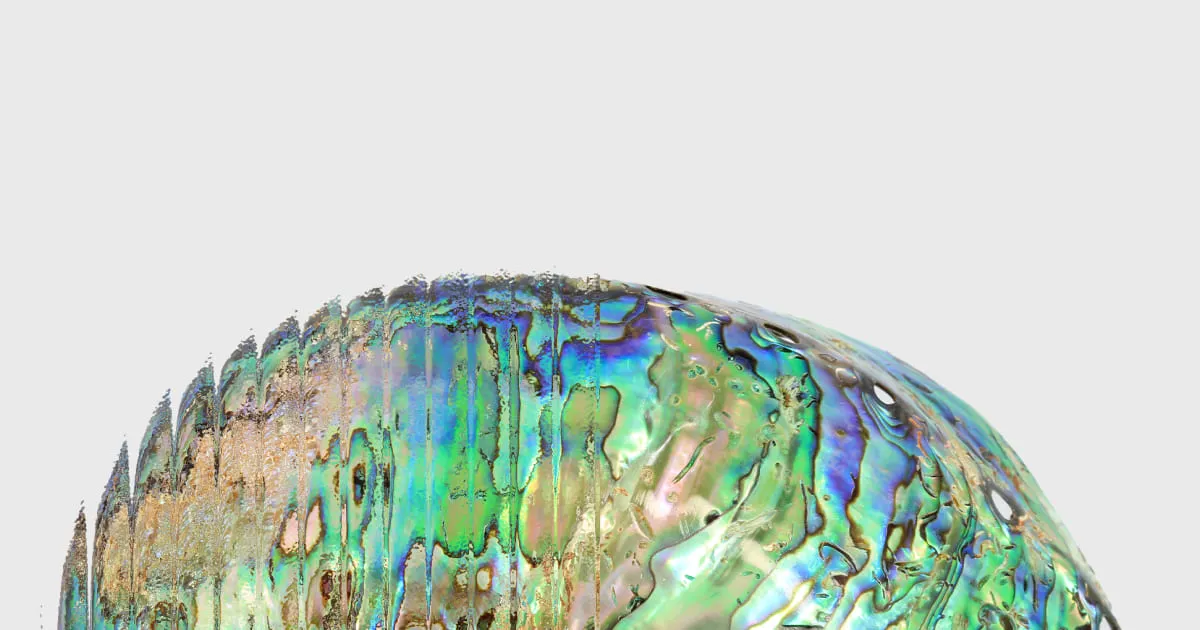 Abalone Bio brand asset featured on abalonebio.com