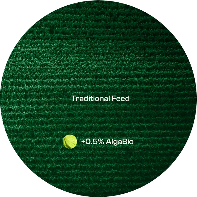 Alga Biosciences brand asset featured on alga.bio
