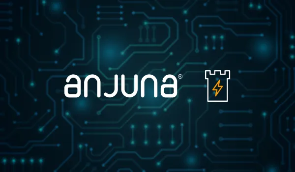 Anjuna brand asset featured on anjuna.io