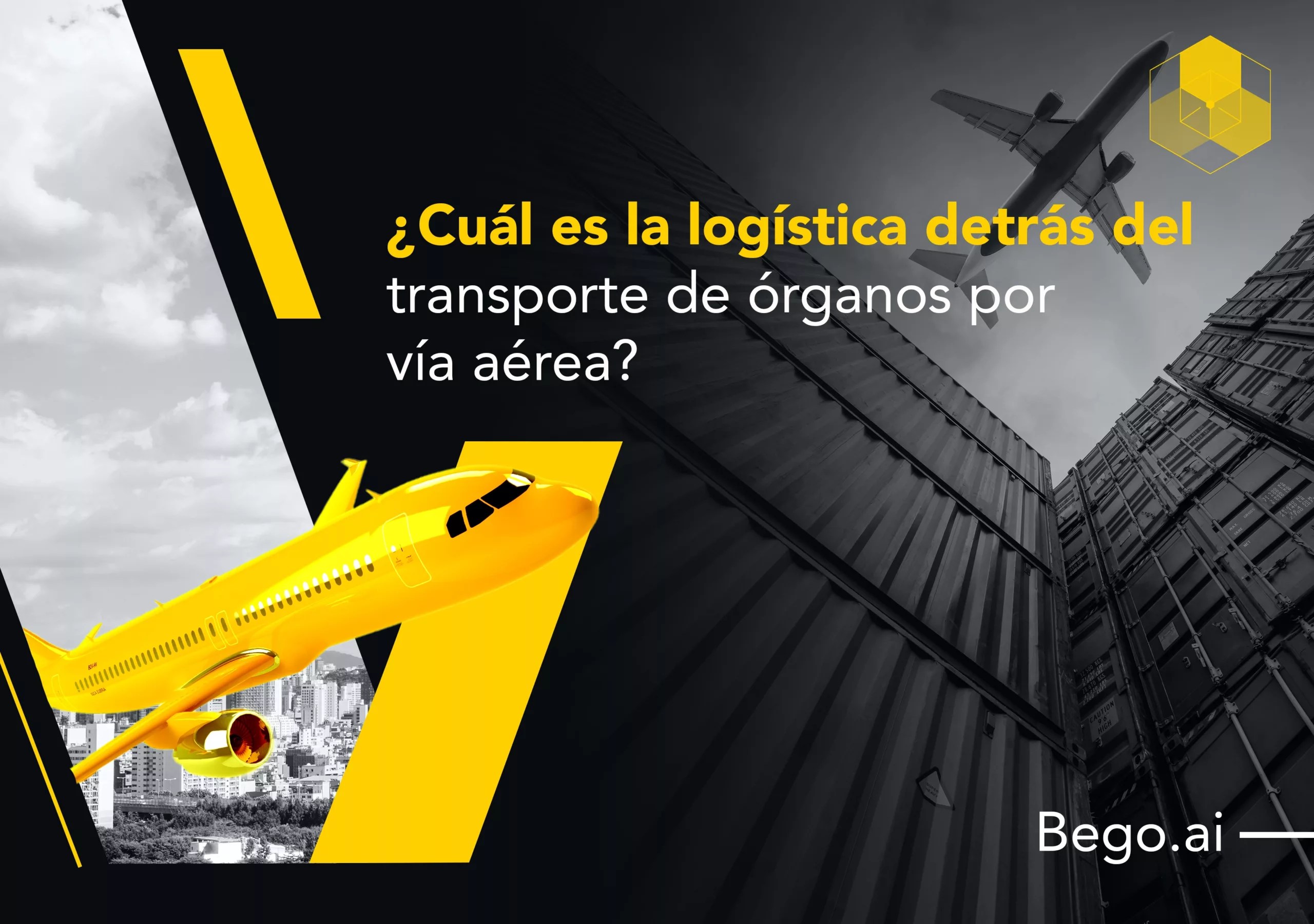 BeGo brand asset featured on blog.bego.ai