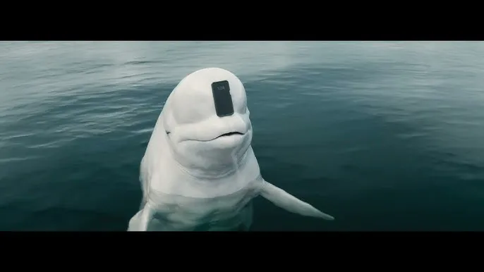 Beluga brand asset featured on youtube.com