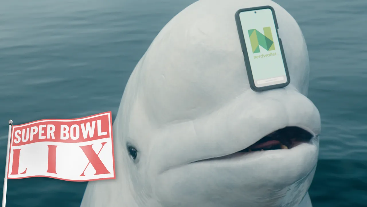Beluga brand asset featured on lbbonline.com
