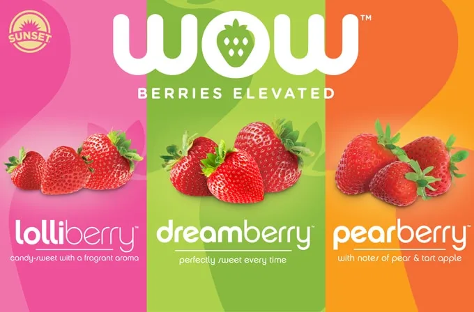 Berry brand asset featured on sunsetgrown.com