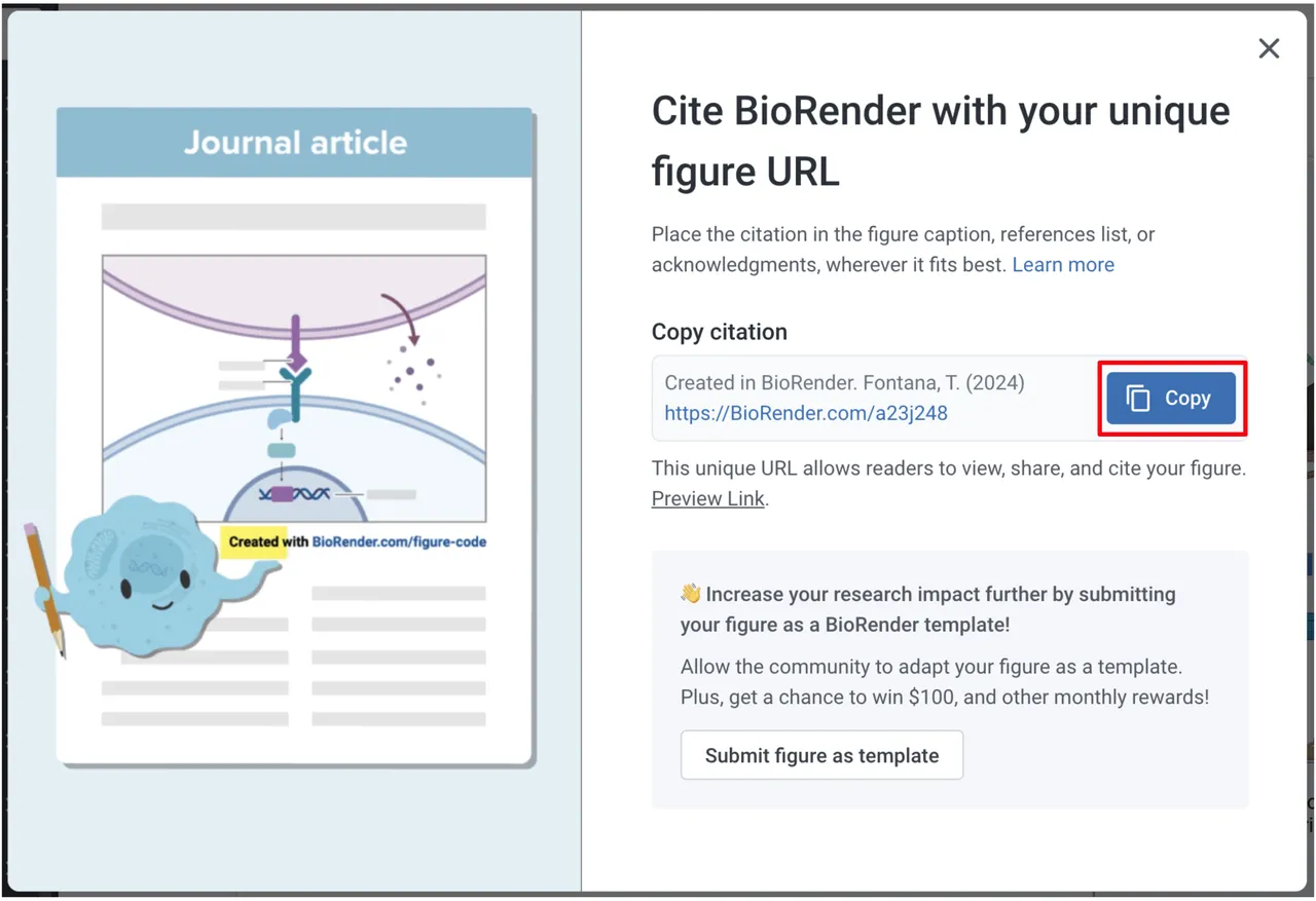 BioRender brand asset featured on help.biorender.com