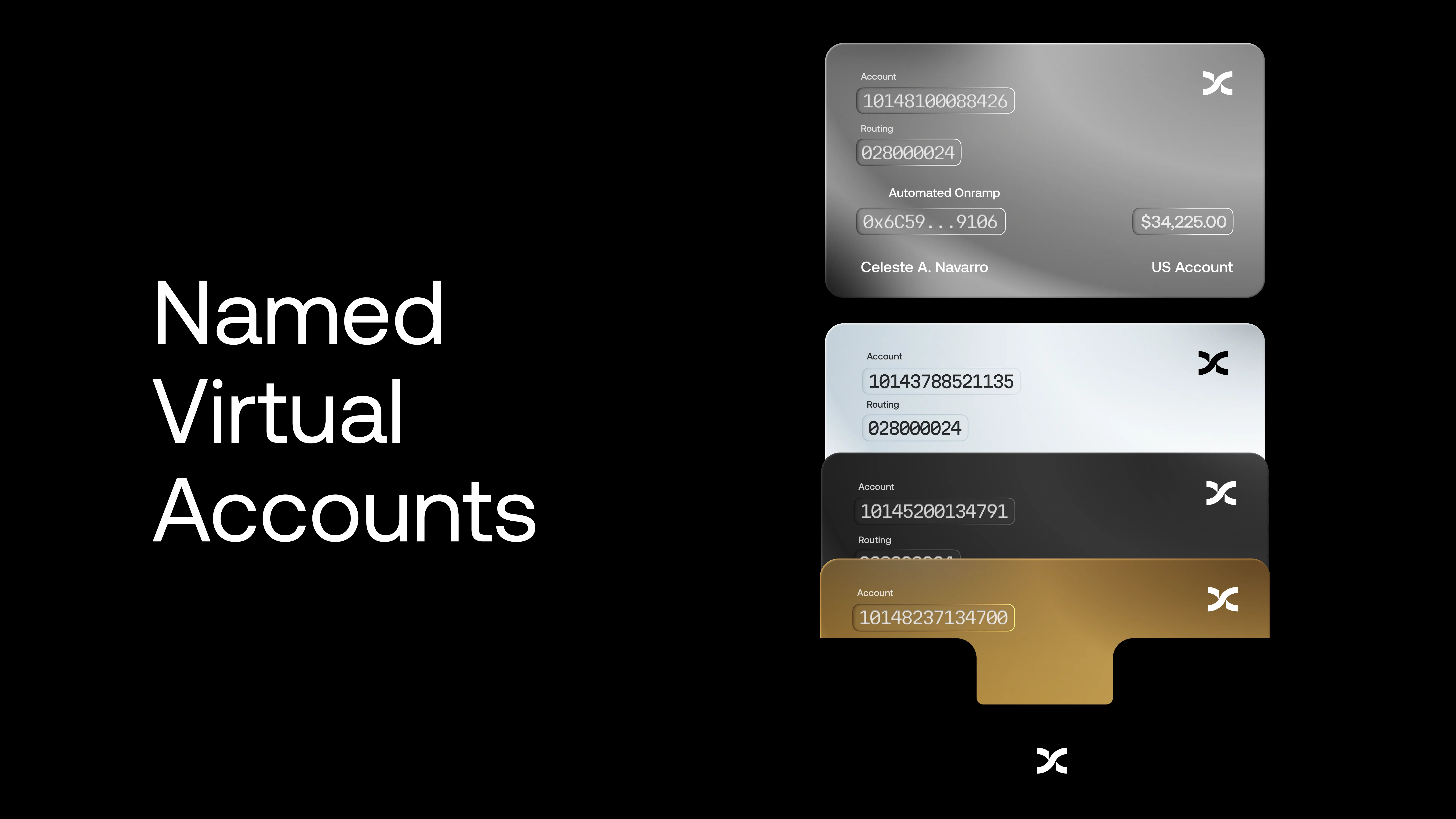 BlindPay brand asset featured on blindpay.com