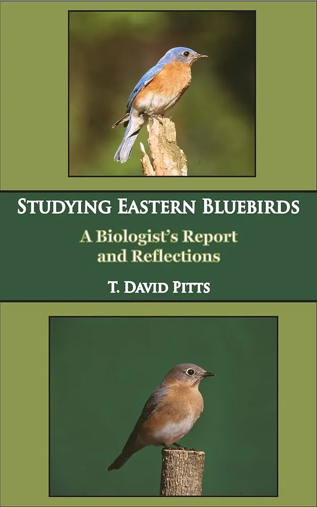 Bluebirds brand asset featured on amazon.com