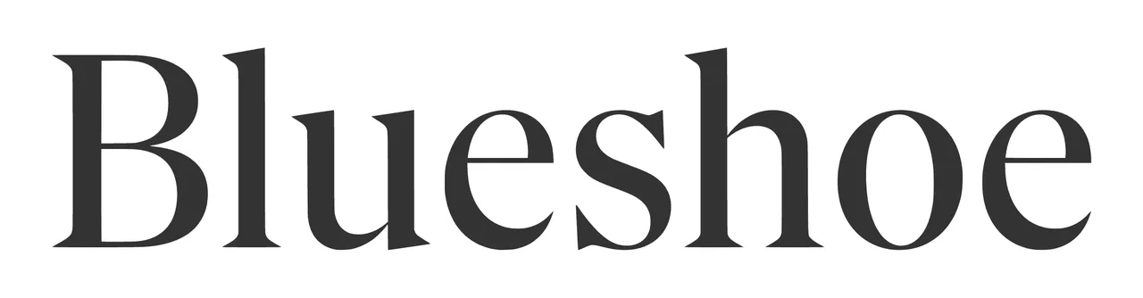 Blueshoe brand asset featured on blueshoe.com