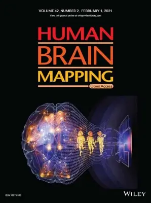 BrainKey brand asset featured on brainkey.ai