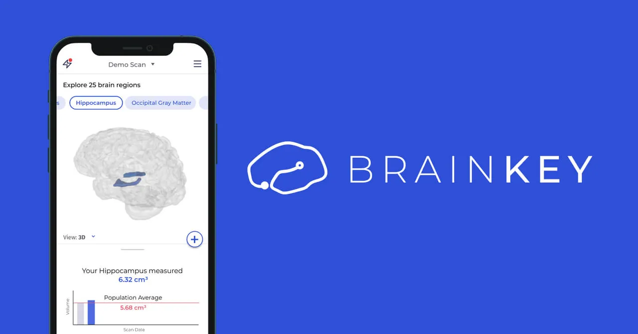 BrainKey brand asset featured on brainkey.ai