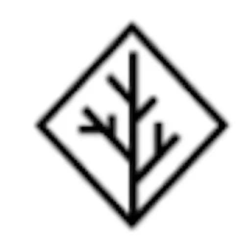 Branch AI brand asset featured on blog.branch-ai.com