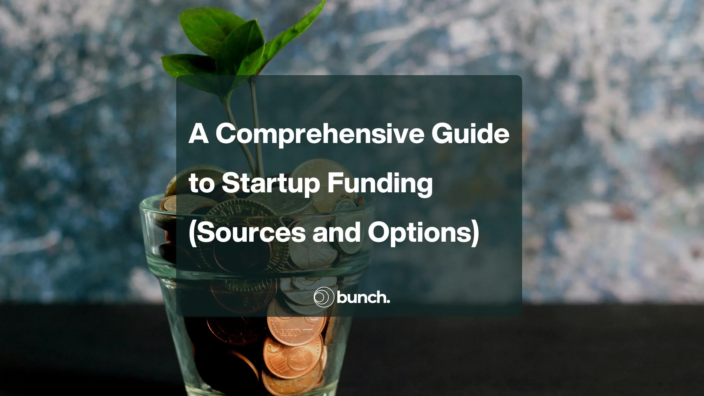 Bunch brand asset featured on bunch.capital
