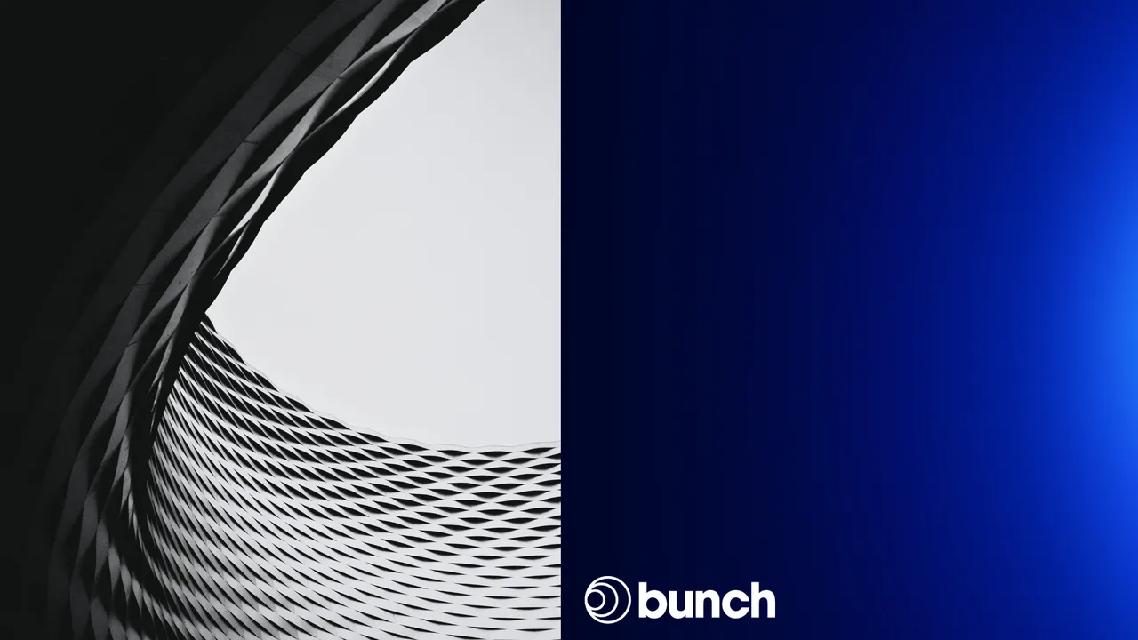 Bunch brand asset featured on bunch.capital