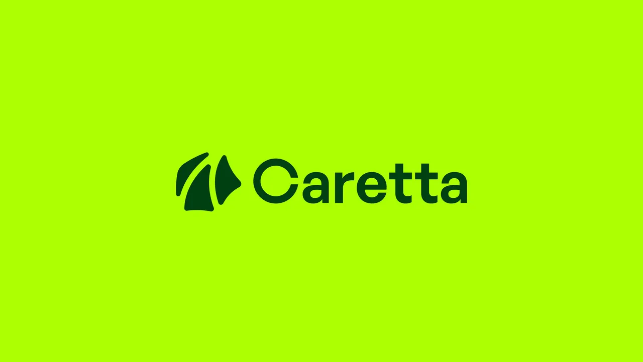 Caretta brand asset featured on caretta.so