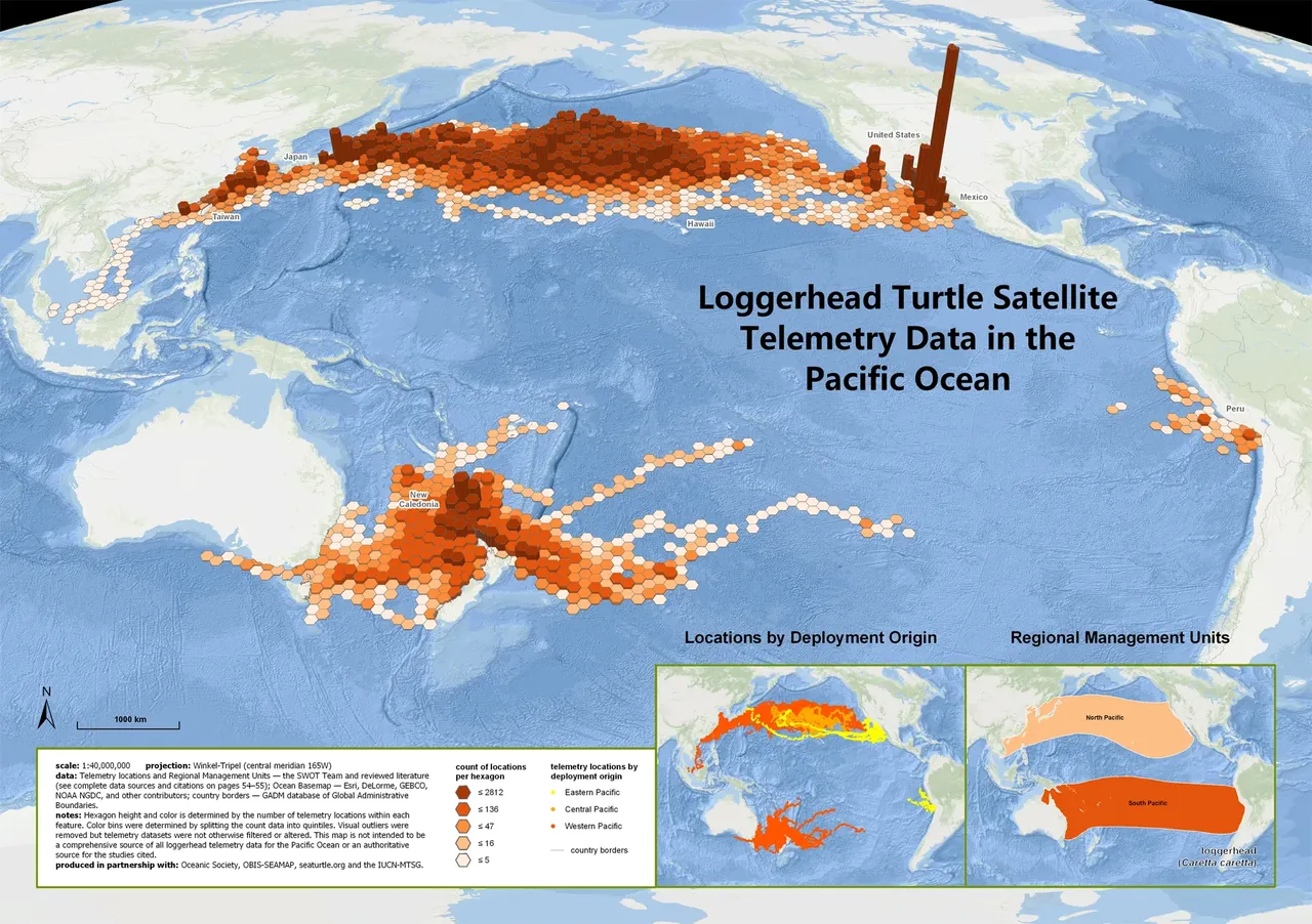 Caretta brand asset featured on seaturtlestatus.org