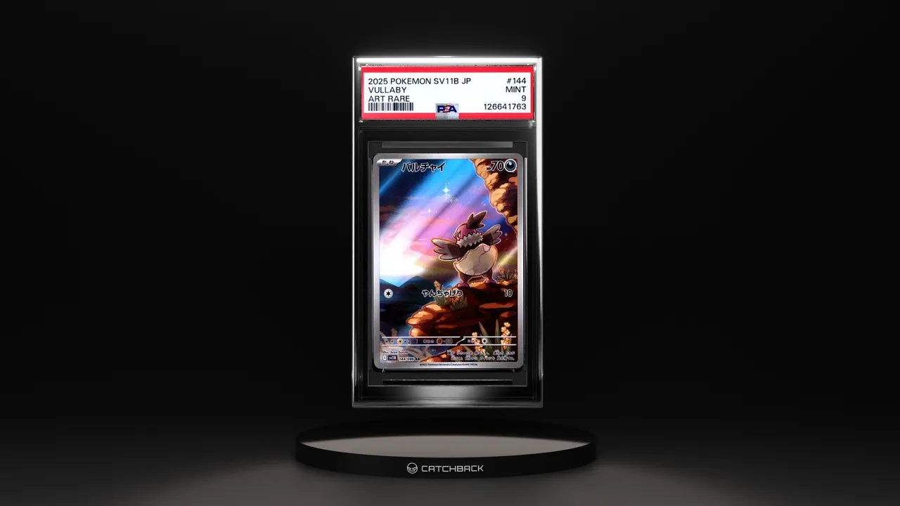 CatchBack Cards brand asset featured on catchbackcards.com