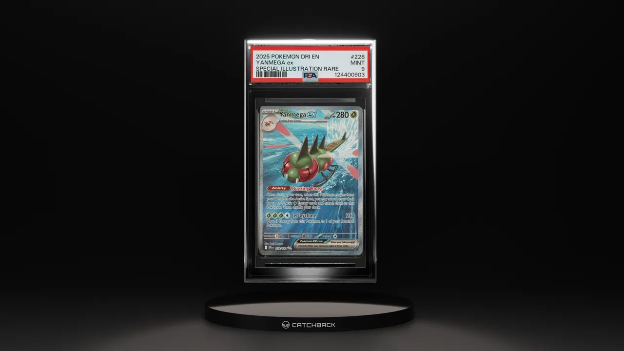 CatchBack Cards brand asset featured on catchbackcards.com