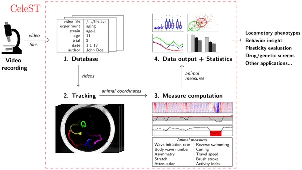 Celest brand asset featured on journals.plos.org