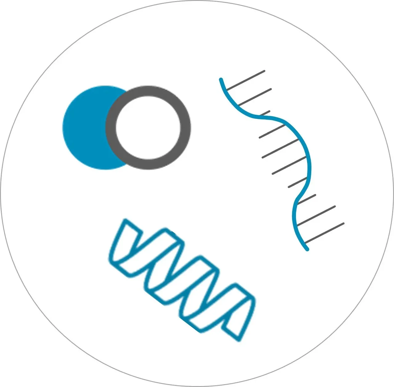 CellChorus brand asset featured on cellchorus.com