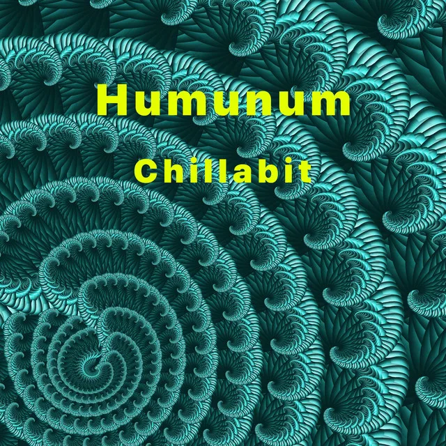 Chillabit brand asset featured on open.spotify.com