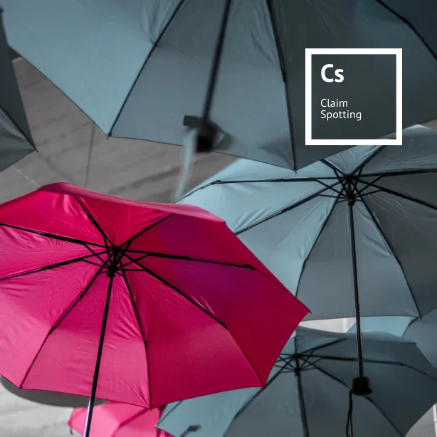 Claimspotting brand asset featured on hiig.de