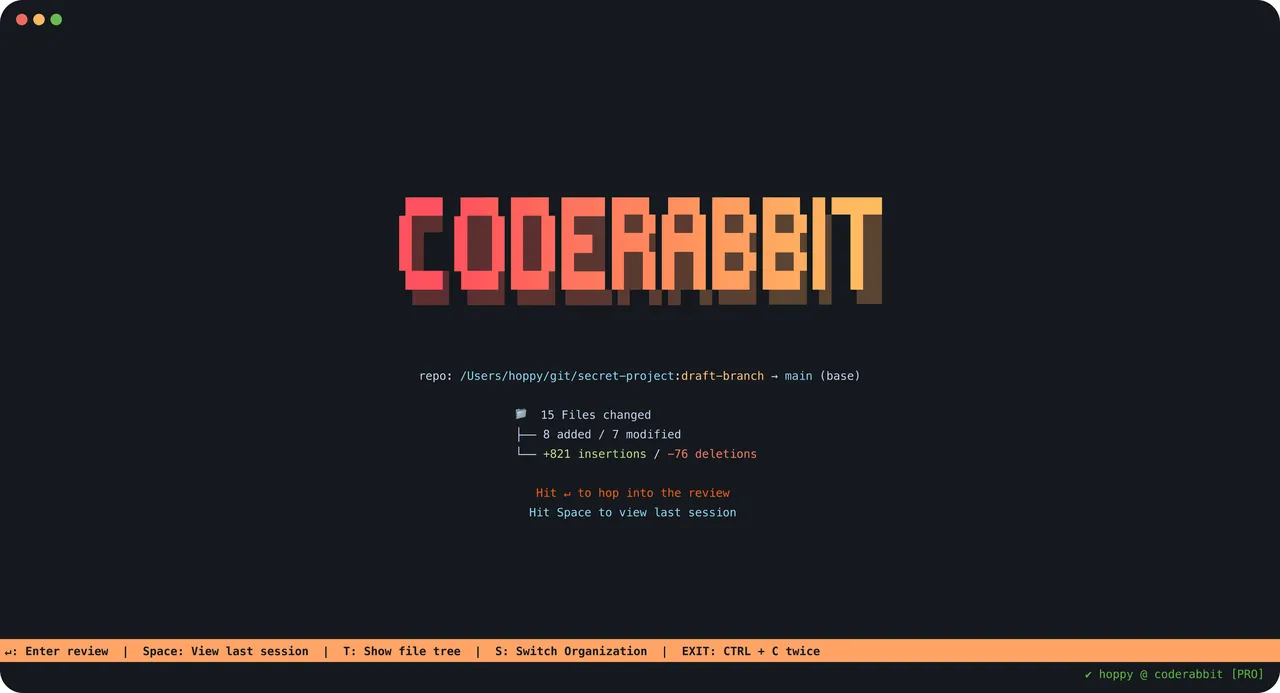 CodeRabbit brand asset featured on coderabbit.ai