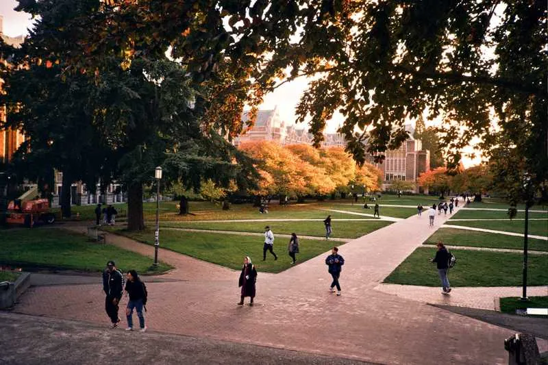 College Pulse brand asset featured on collegepulse.com