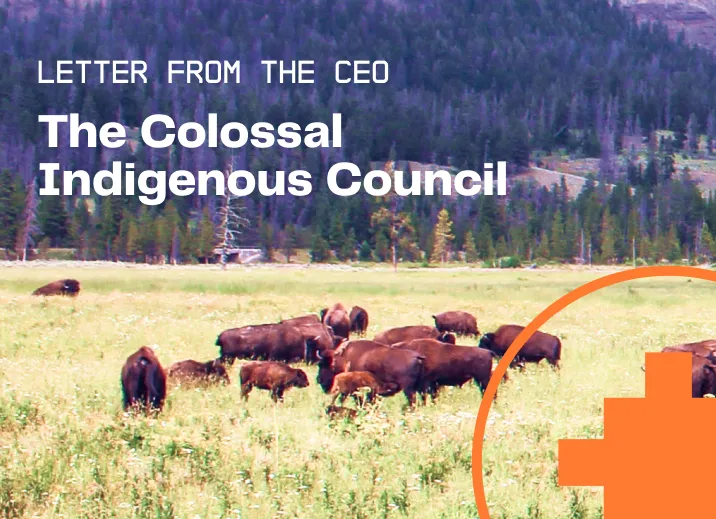 Colossal brand asset featured on colossal.com