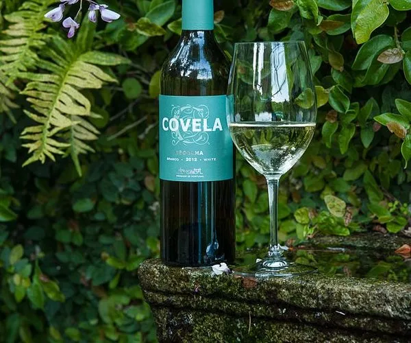 Covela brand asset featured on tripadvisor.com