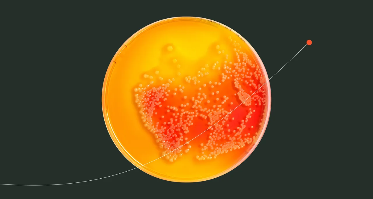 Debut brand asset featured on debutbiotech.com