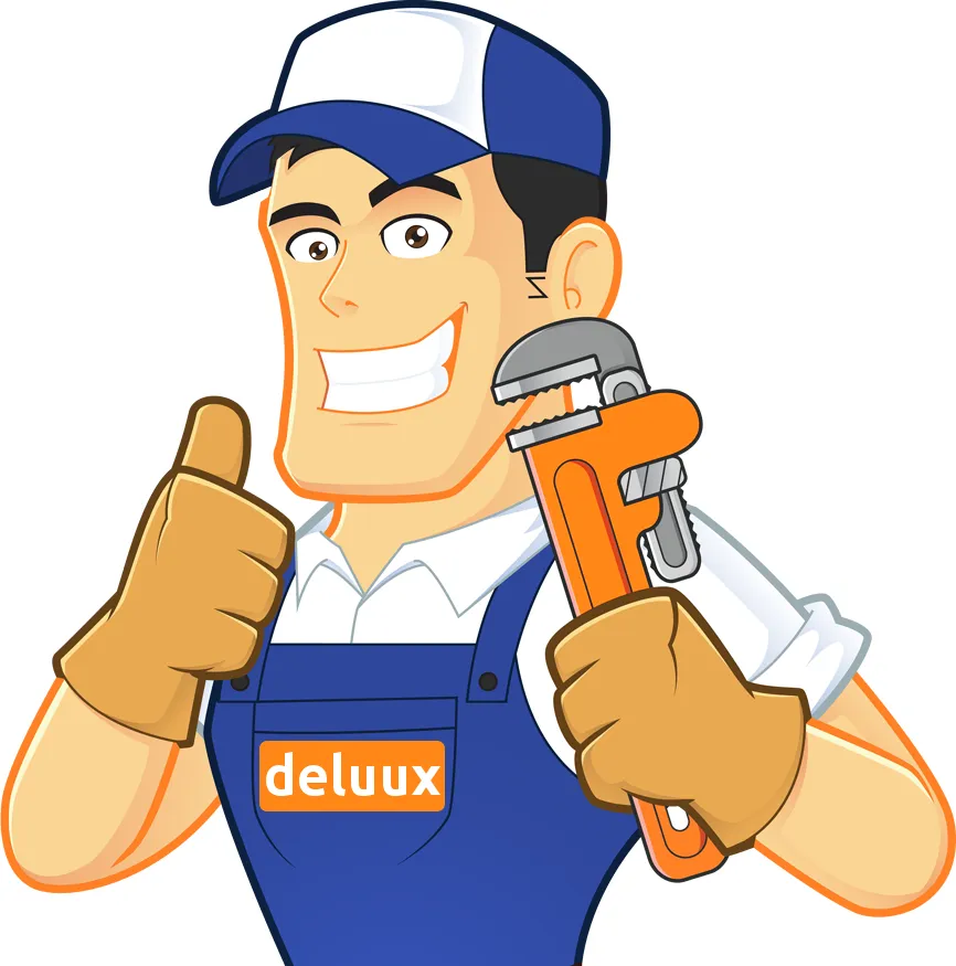 Deluux brand asset featured on deluux.com