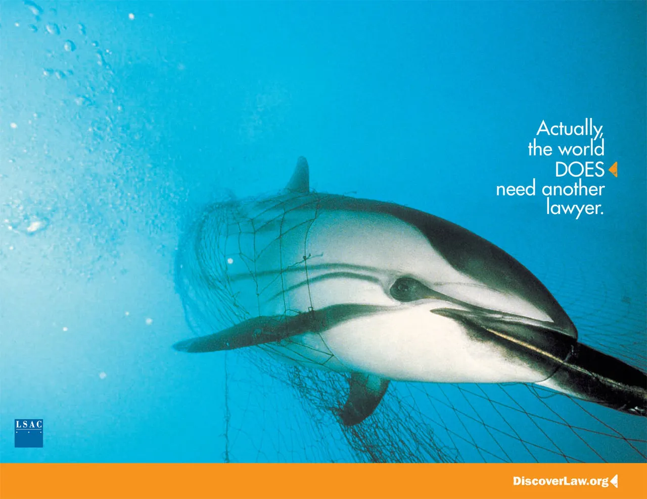 Dolphin brand asset featured on adsoftheworld.com