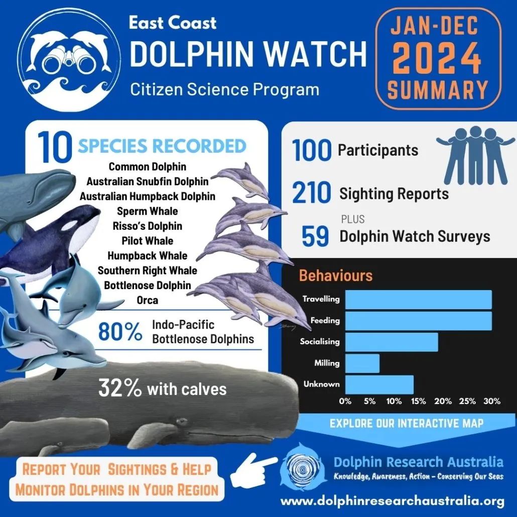 Dolphin brand asset featured on dolphinresearchaustralia.org