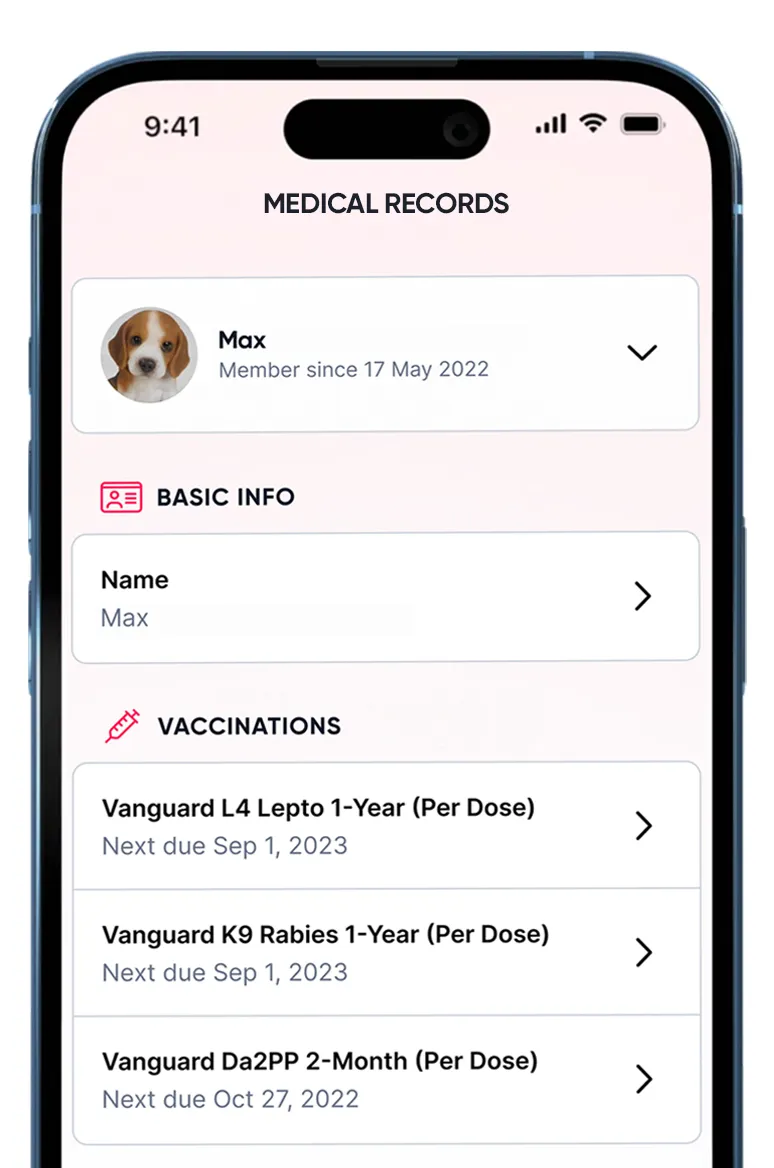 Dr. Treat brand asset featured on drtreat.com