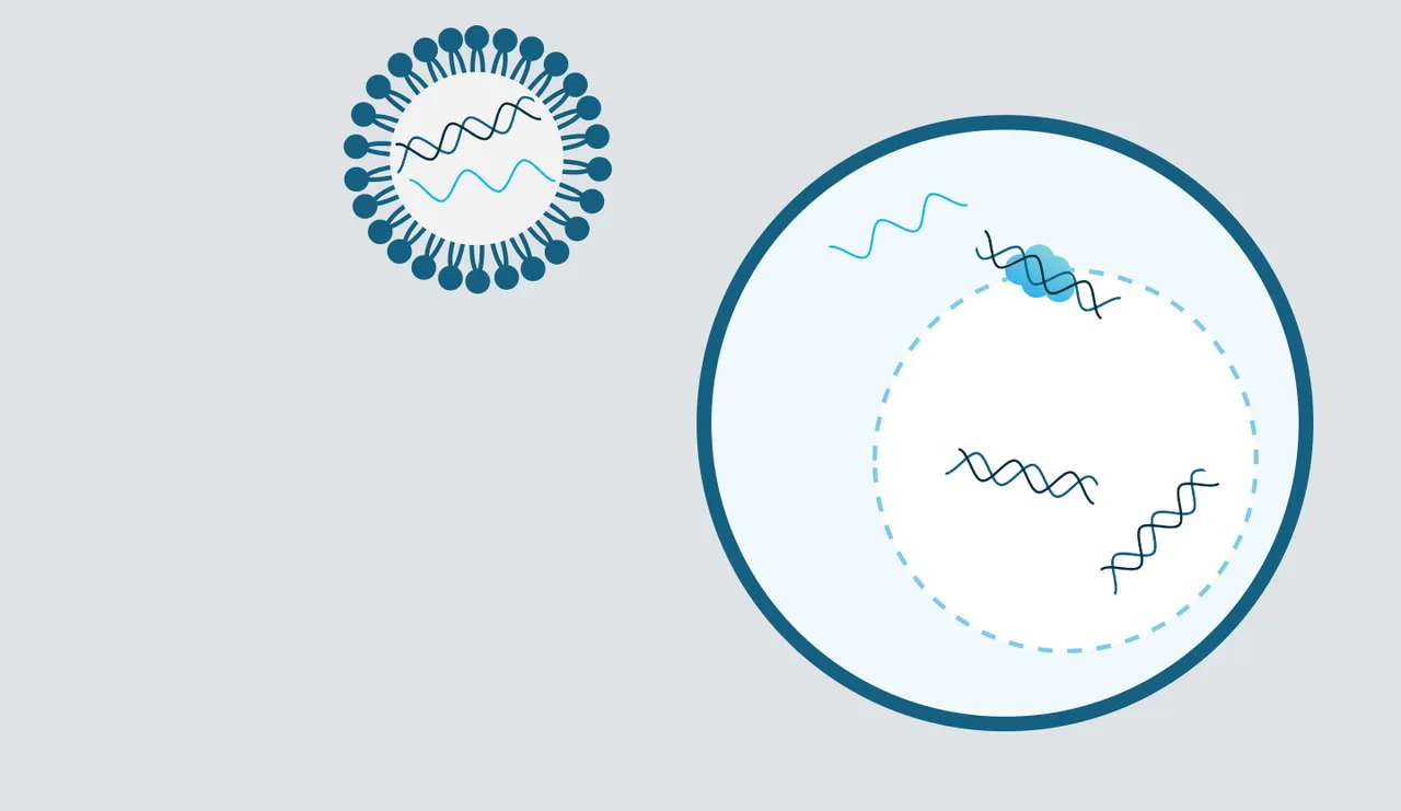 Engage Bio brand asset featured on engagebio.com