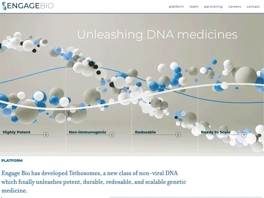 Engage Bio brand asset featured on engagebio.com