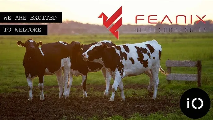 Feanix Biotechnologies brand asset featured on youtube.com