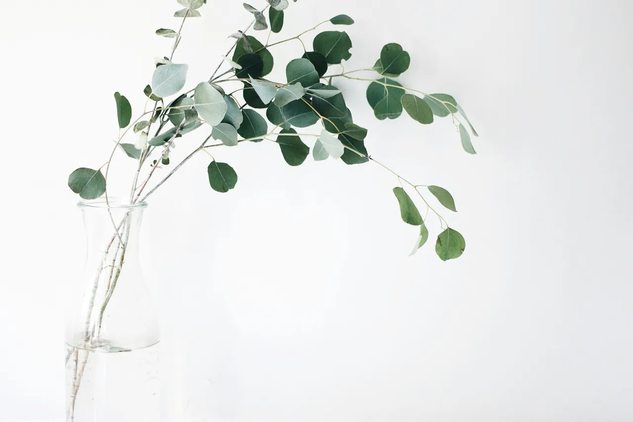Fern brand asset featured on buildwithfern.com
