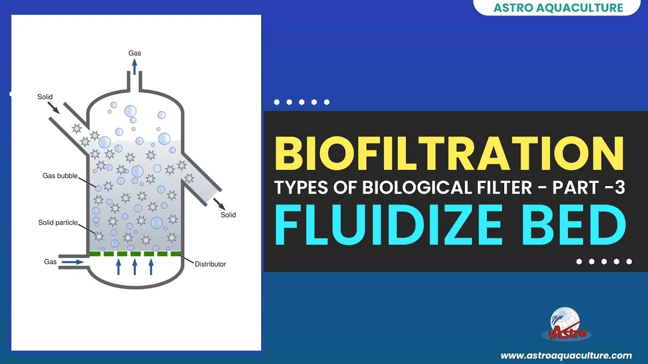 Fluidize brand asset featured on youtube.com