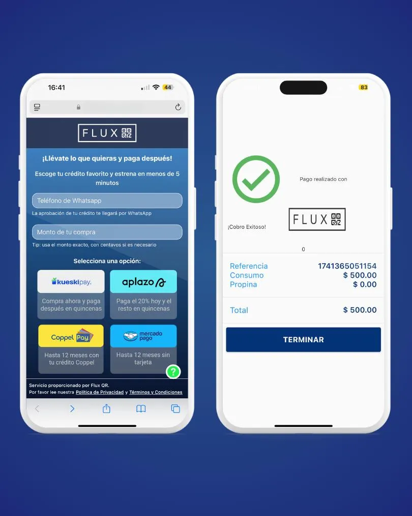 Flux brand asset featured on paywithflux.com
