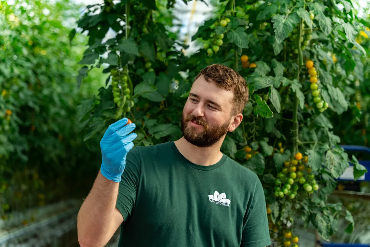 Four Growers brand asset featured on fourgrowers.com