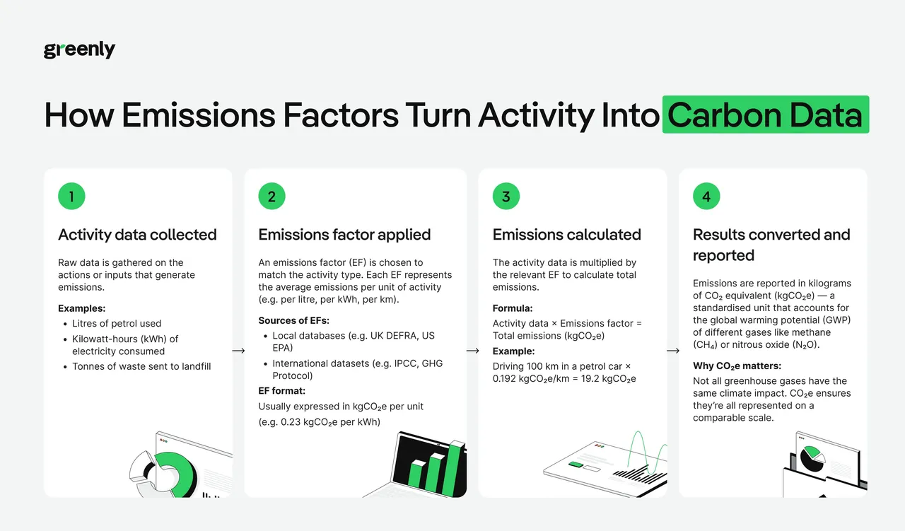 Greenly brand asset featured on greenly.earth