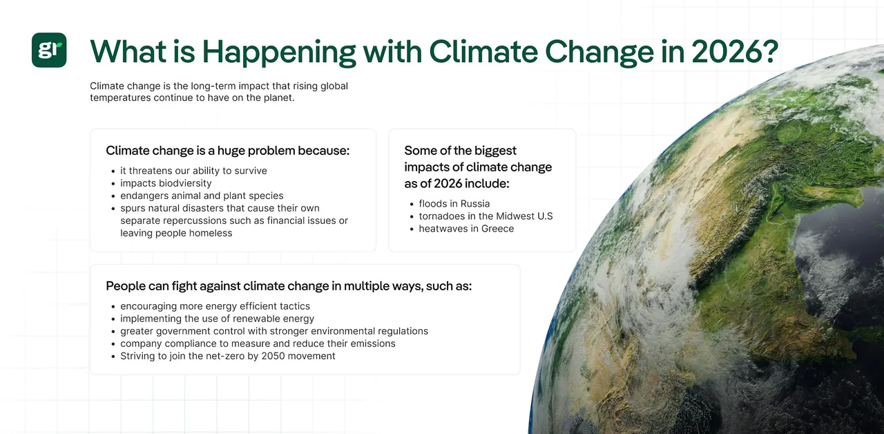 Greenly brand asset featured on greenly.earth