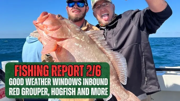 Grouper brand asset featured on youtube.com