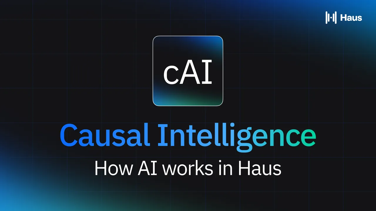 Haus brand asset featured on haus.io
