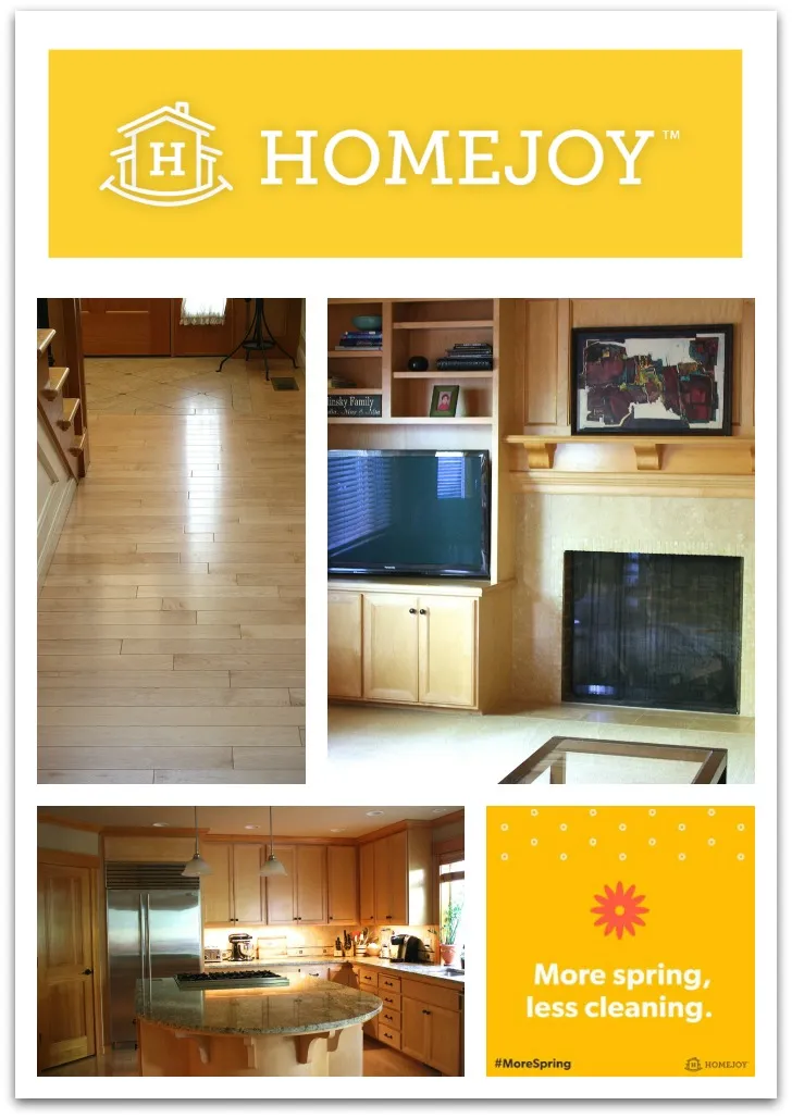Homejoy brand asset featured on yesterdayontuesday.com
