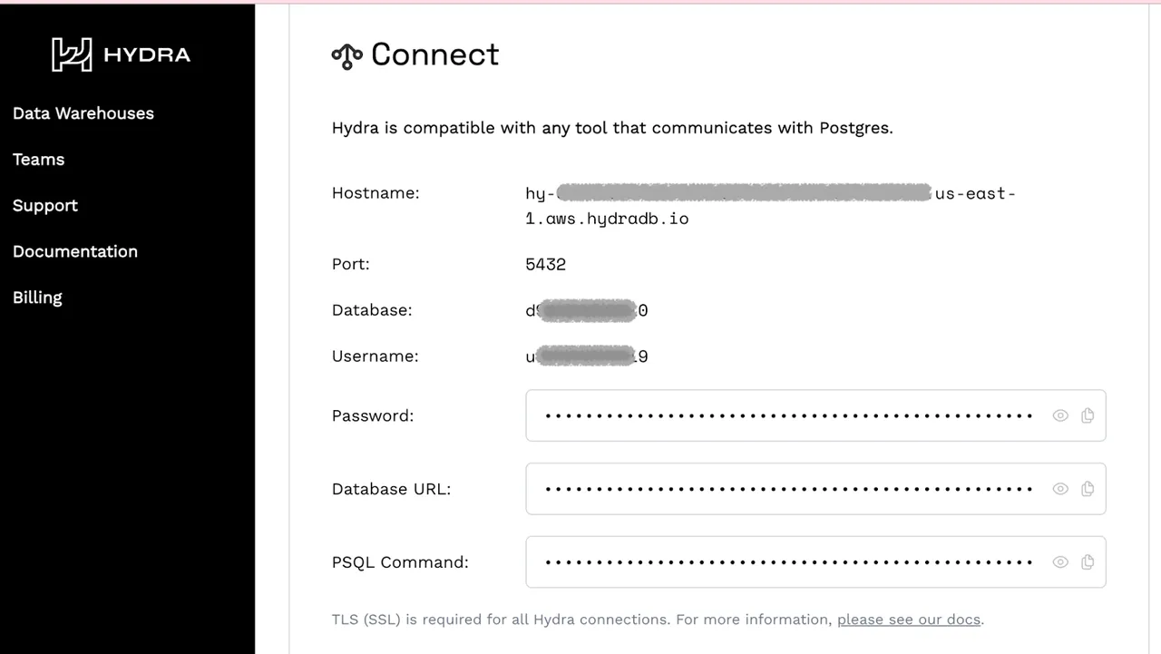 Hydra brand asset featured on hydra.so