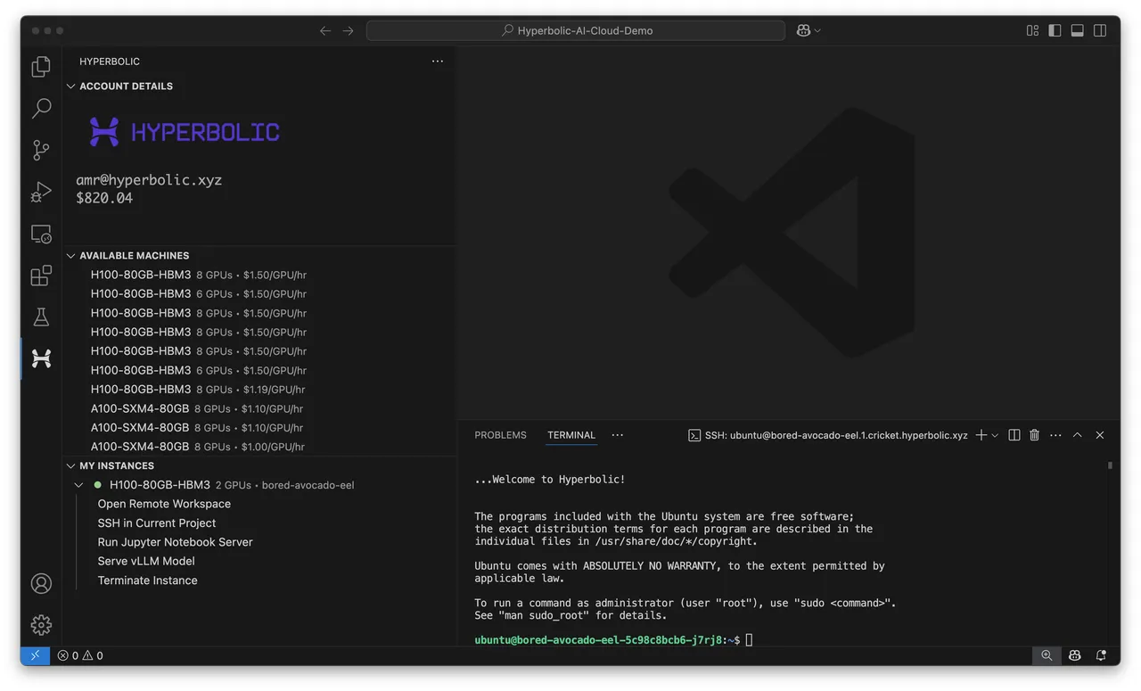 Hyperbolic brand asset featured on docs.hyperbolic.xyz
