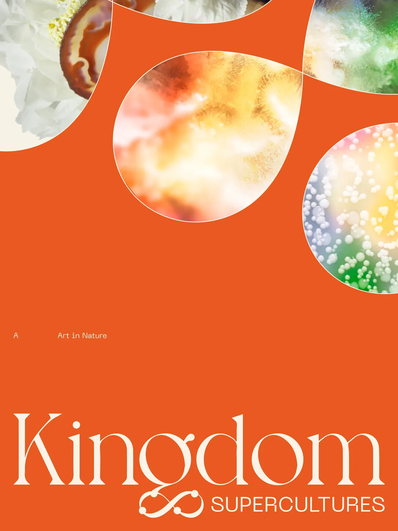 Kingdom Supercultures brand asset featured on roandcostudio.com