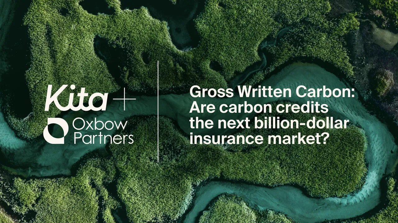 Kita brand asset featured on kita.earth